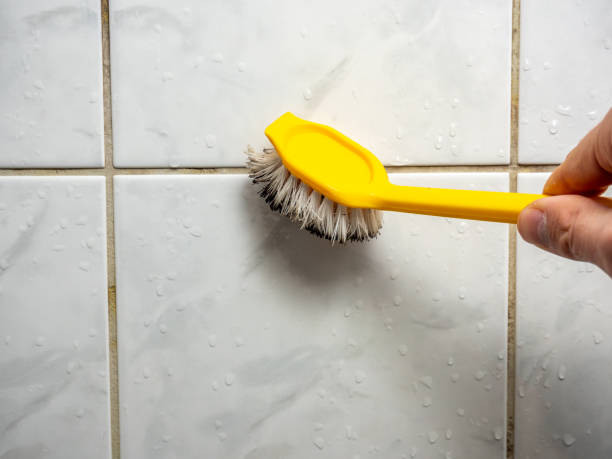 Best Mold Removal Company Near Me  in Torrington, CT