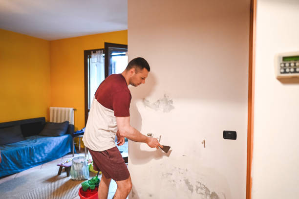Best Toxic Mold Removal  in Torrington, CT